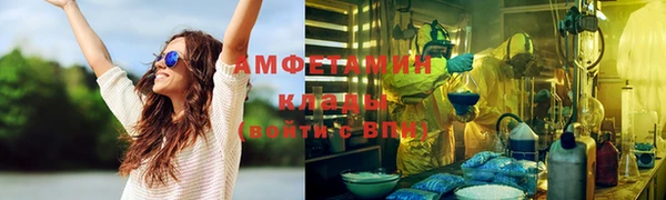 мдпв Михайлов