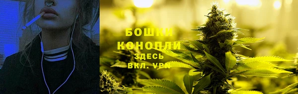 мдпв Михайлов