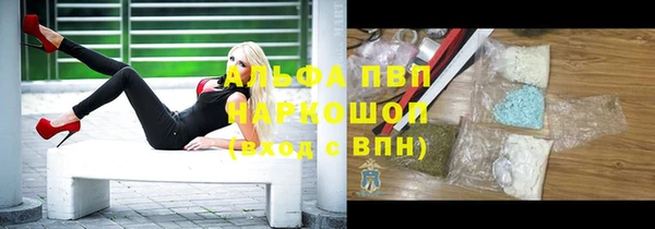 индика Пестово