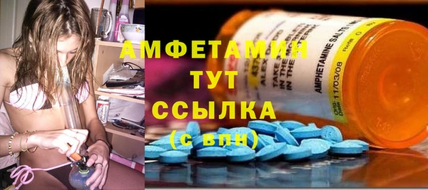 мдпв Михайлов