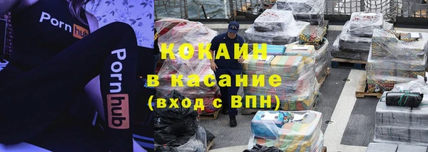 мдпв Михайлов