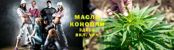 мдпв Михайлов