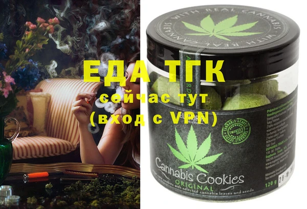 индика Пестово