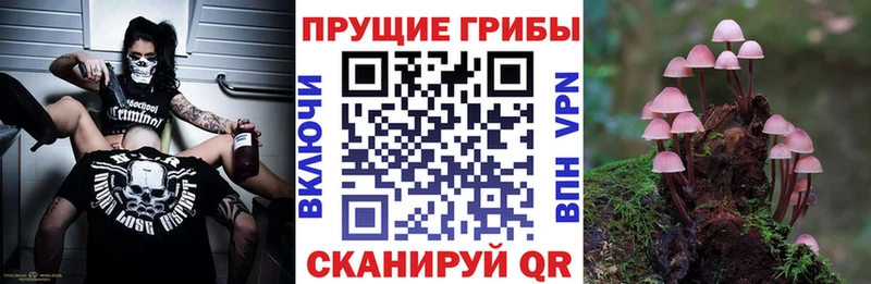 Псилоцибиновые грибы мицелий наркошоп Туран